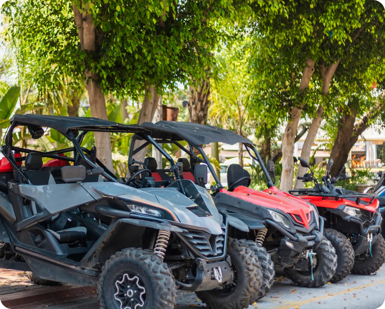 Off-road vehicles parked under green trees.